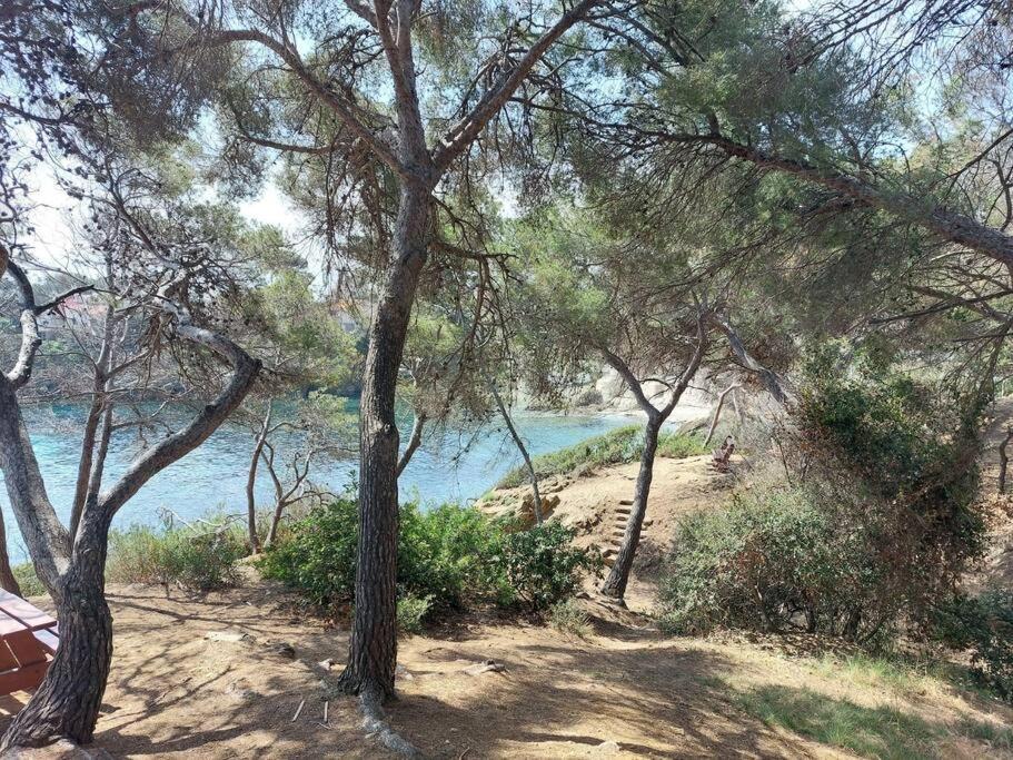 Charmant Mazet - Plage A Pied Saint-Peïre-sur-Mer Exterior foto